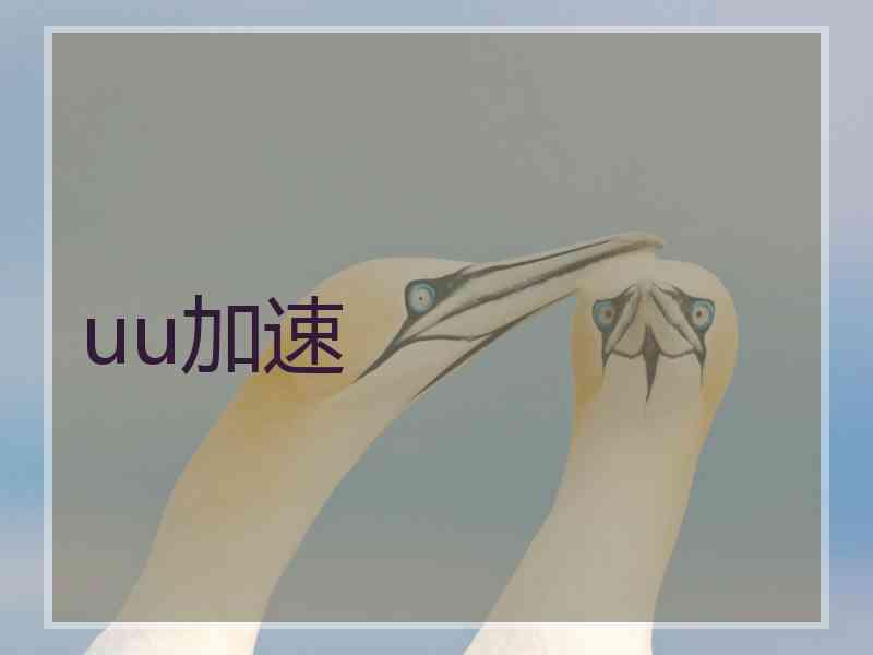 uu加速