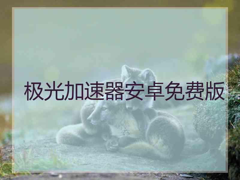 极光加速器安卓免费版