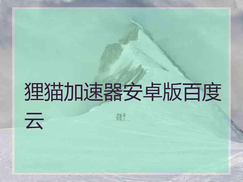 狸猫加速器安卓版百度云