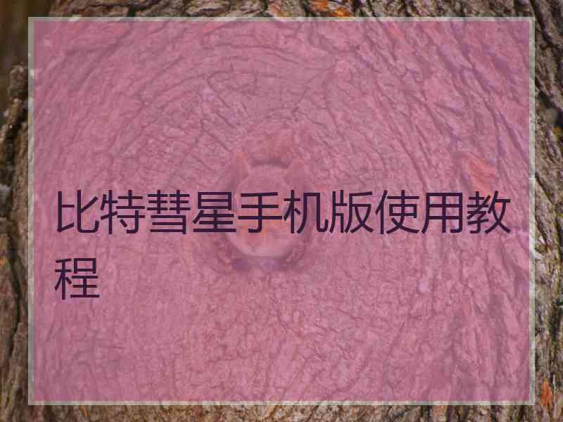 比特彗星手机版使用教程