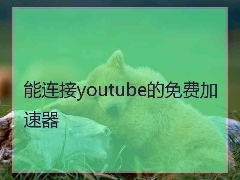 能连接youtube的免费加速器