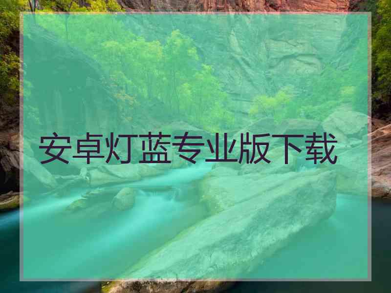 安卓灯蓝专业版下载