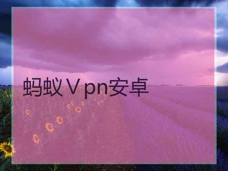 蚂蚁Ⅴpn安卓