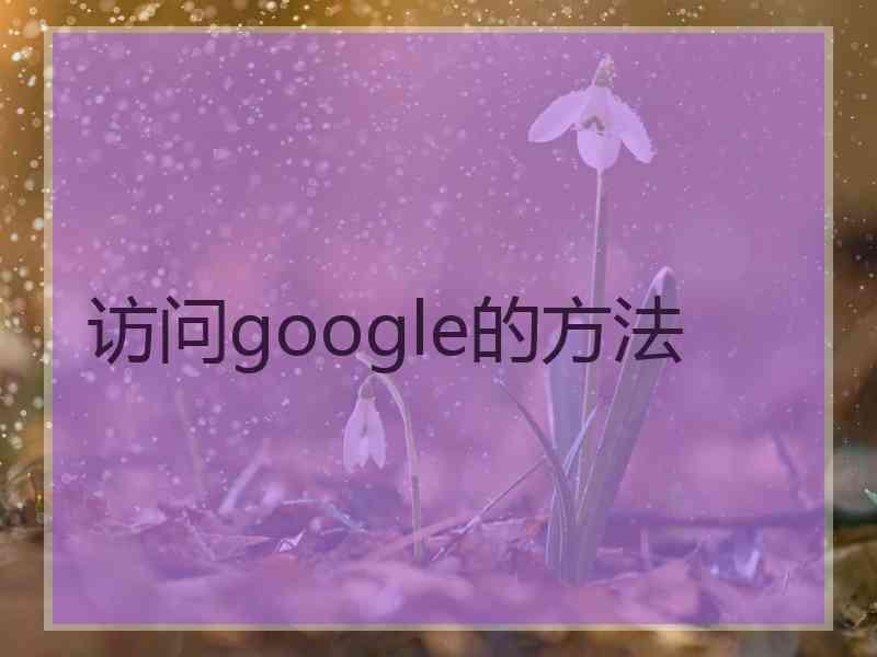 访问google的方法
