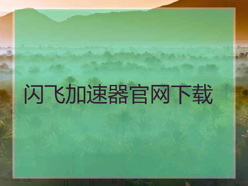 闪飞加速器官网下载