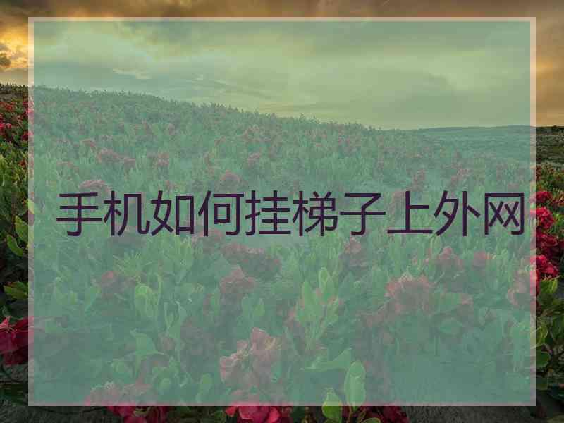 手机如何挂梯子上外网