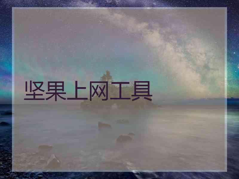 坚果上网工具