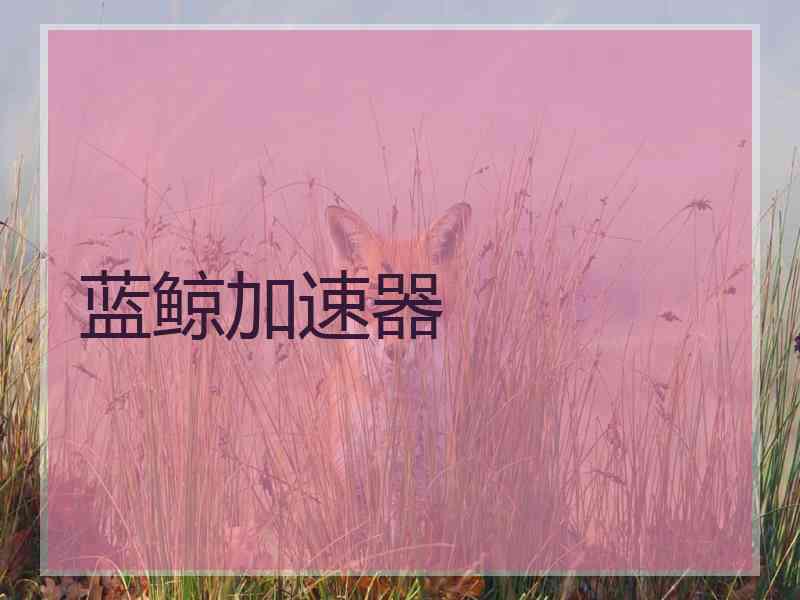 蓝鲸加速器