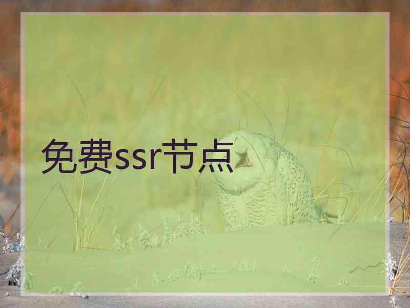 免费ssr节点
