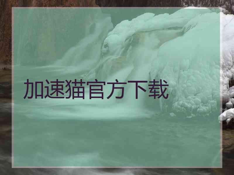 加速猫官方下载