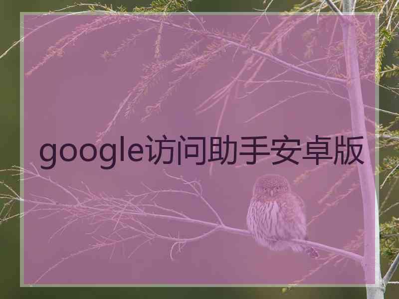 google访问助手安卓版