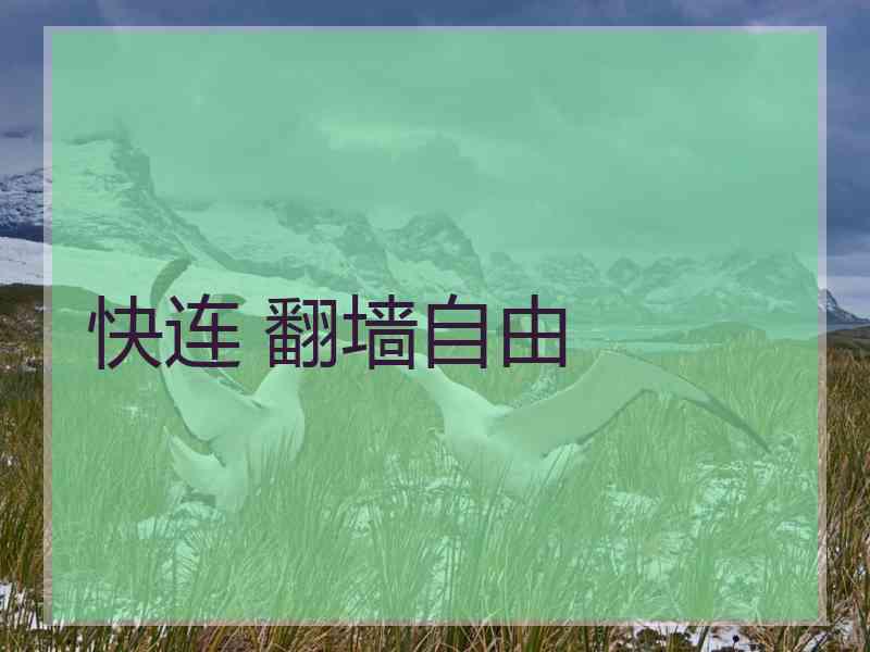 快连 翻墙自由
