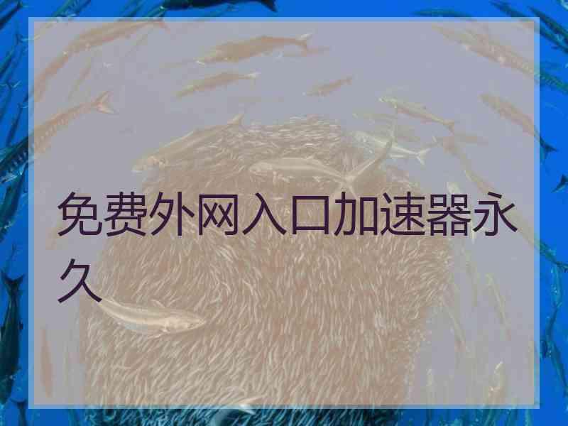 免费外网入口加速器永久