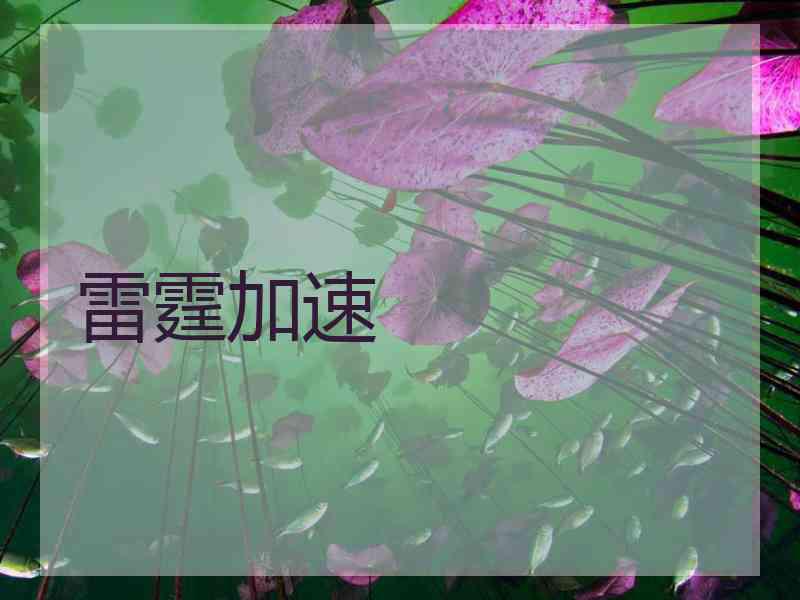 雷霆加速