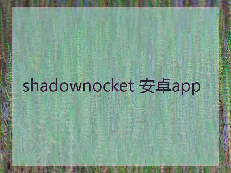 shadownocket 安卓app