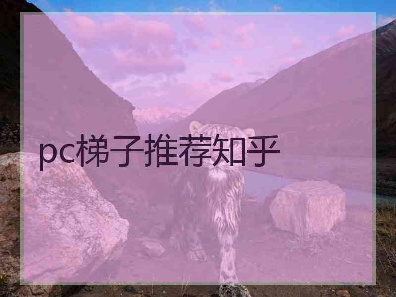 pc梯子推荐知乎