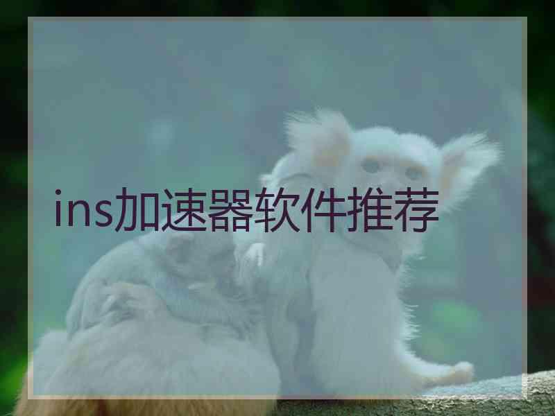ins加速器软件推荐