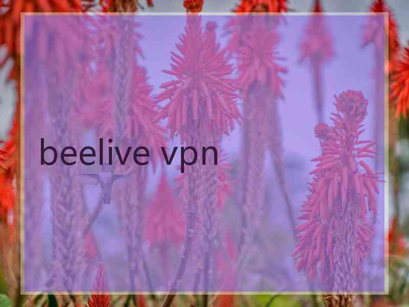 beelive vpn