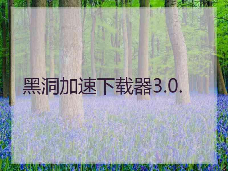 黑洞加速下载器3.0.