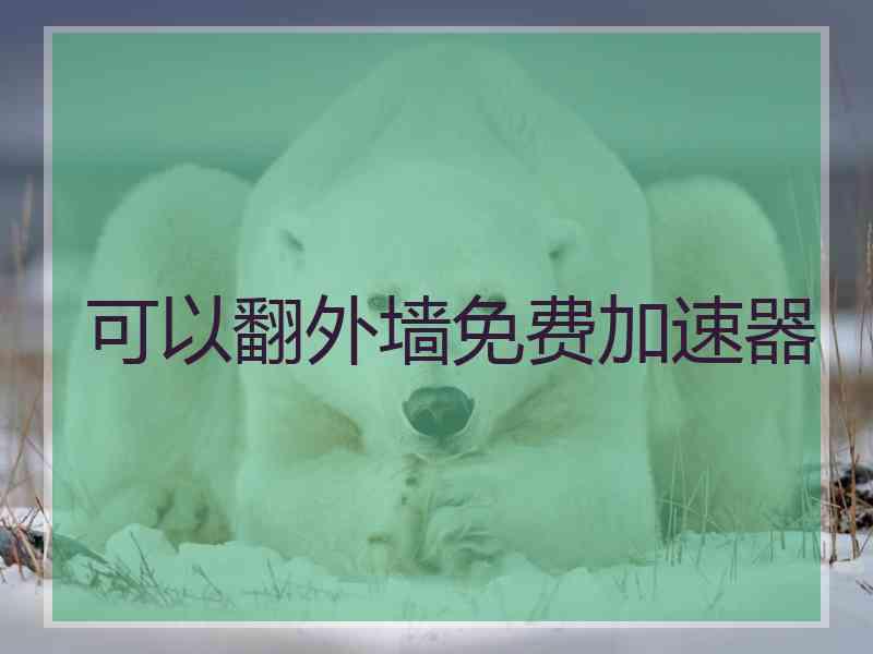 可以翻外墙免费加速器