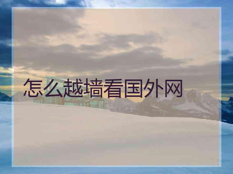 怎么越墙看国外网