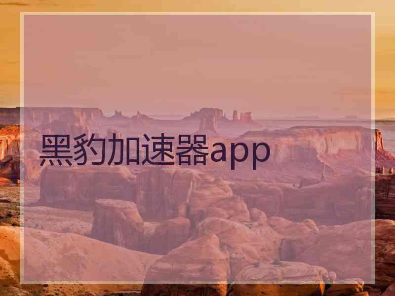 黑豹加速器app
