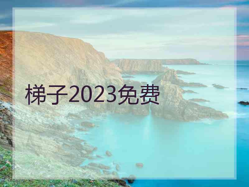 梯子2023免费