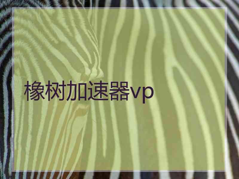 橡树加速器vp