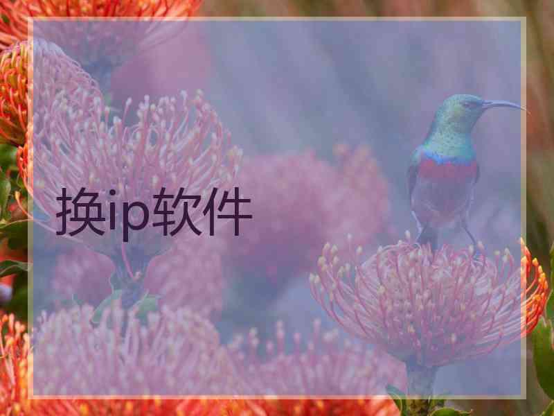 换ip软件