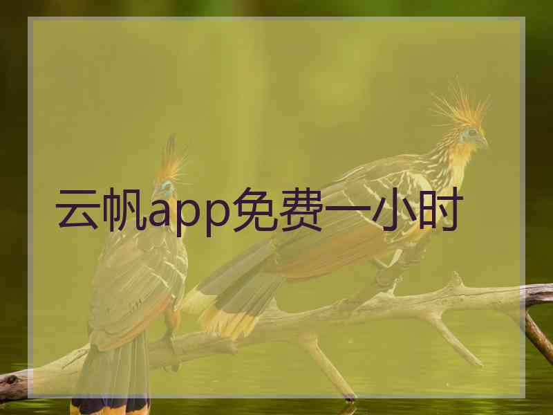 云帆app免费一小时