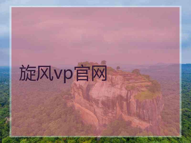 旋风vp官网