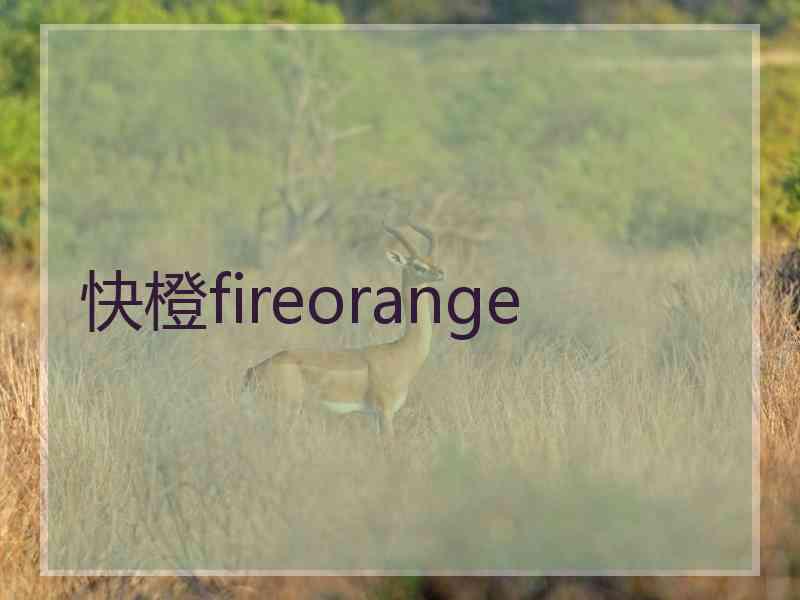 快橙fireorange