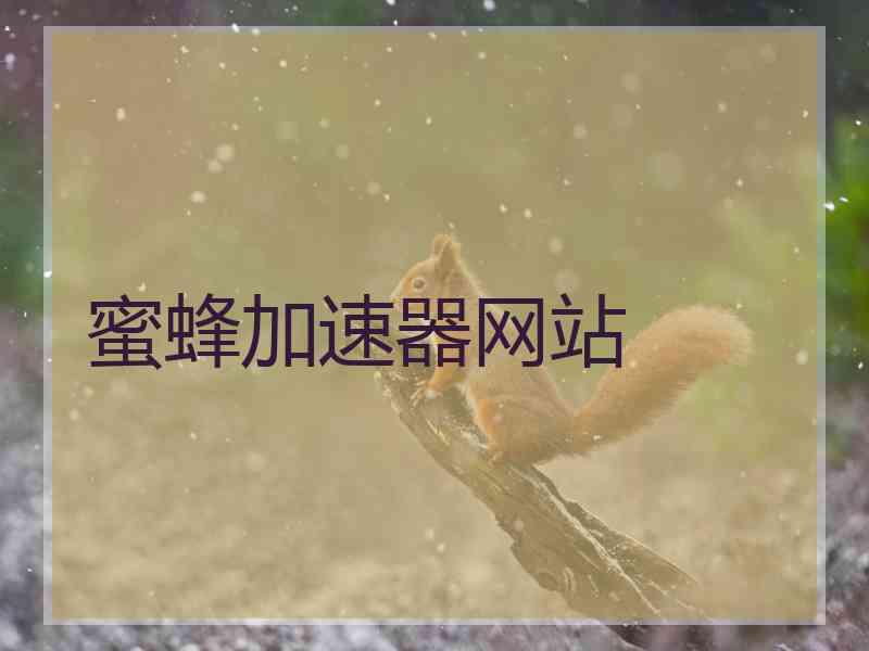 蜜蜂加速器网站