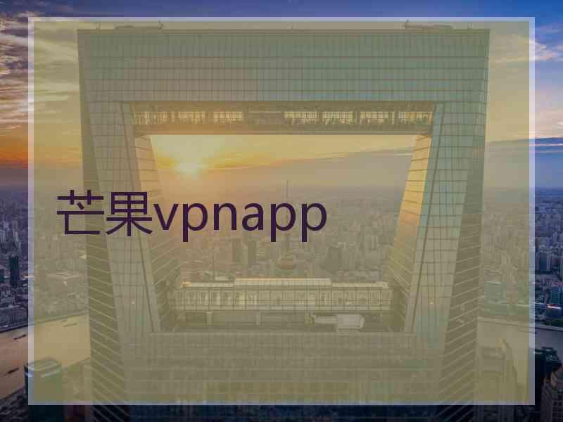 芒果vpnapp