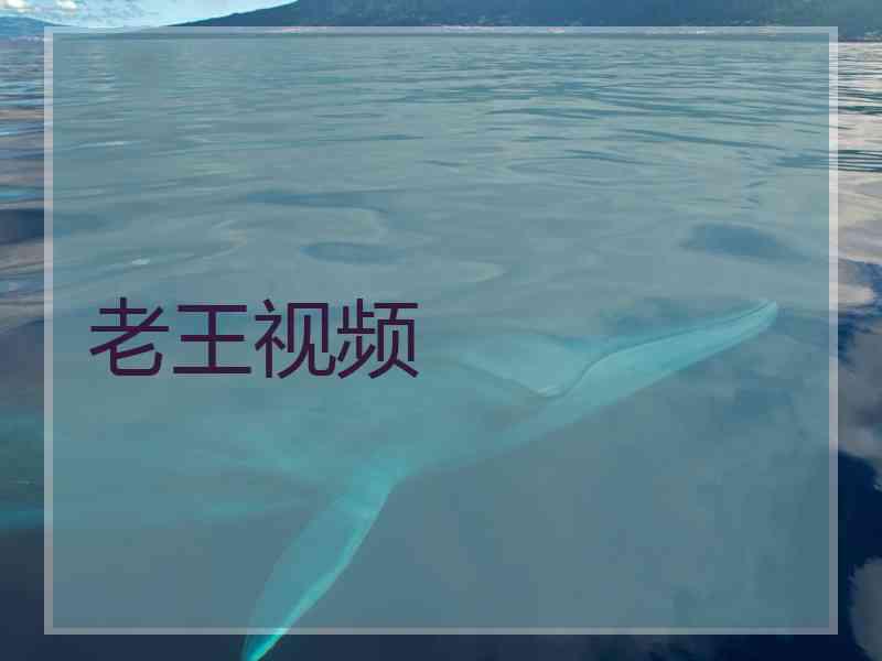 老王视频