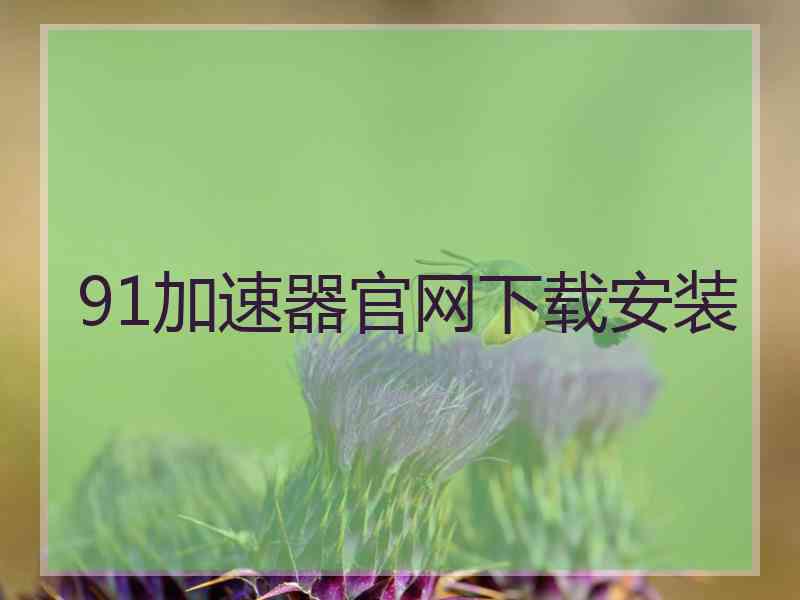 91加速器官网下载安装