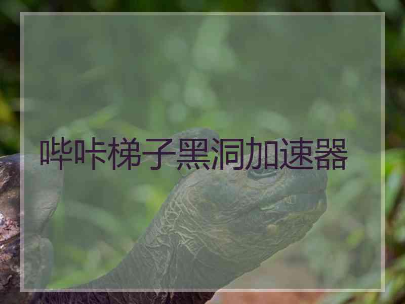 哔咔梯子黑洞加速器