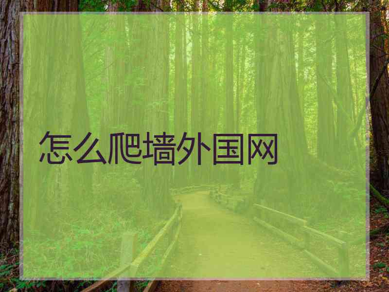 怎么爬墙外国网