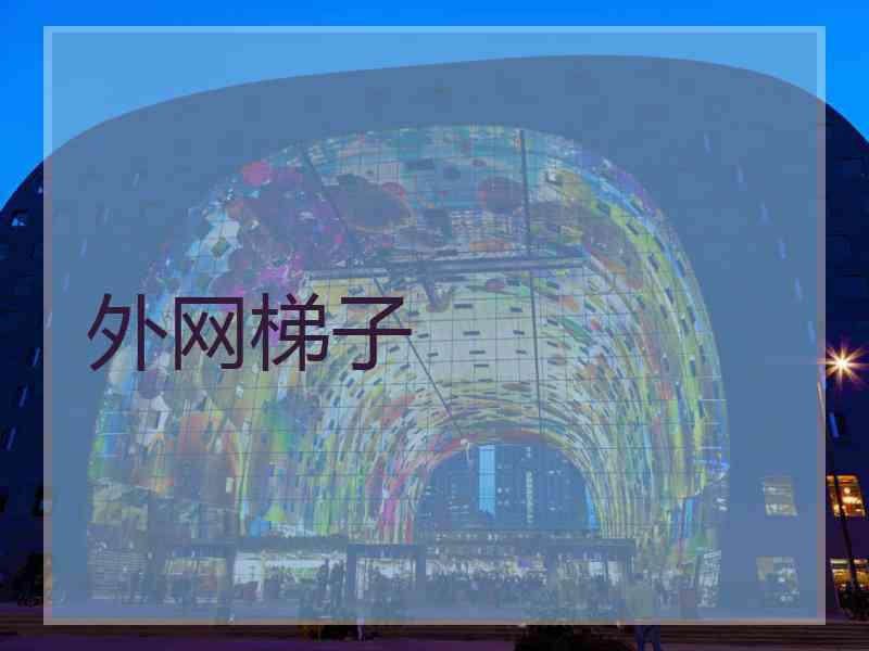 外网梯子