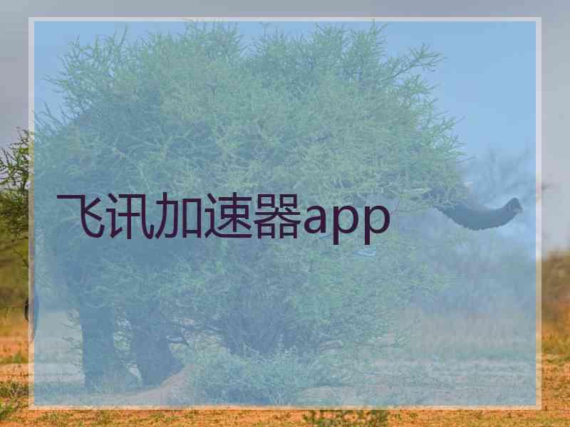 飞讯加速器app