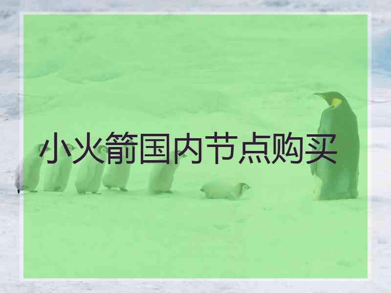 小火箭国内节点购买