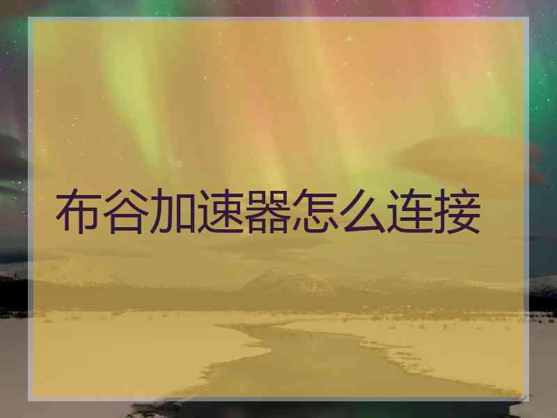 布谷加速器怎么连接