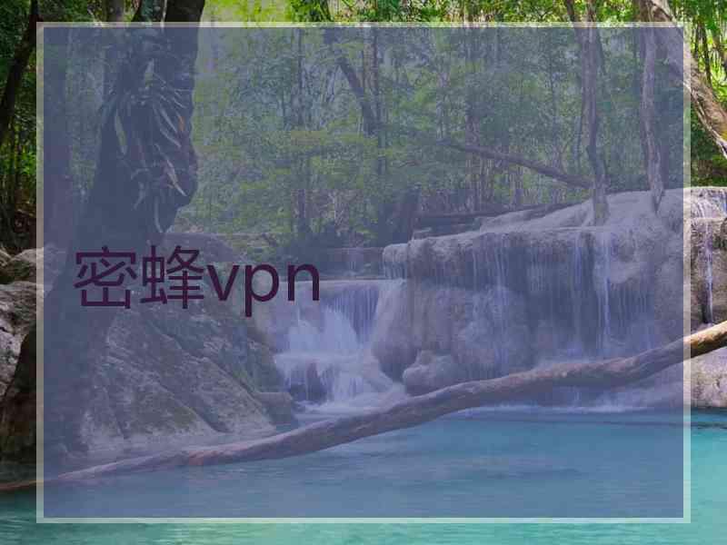 密蜂vpn