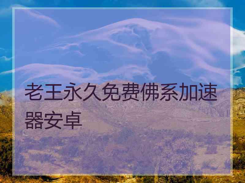老王永久免费佛系加速器安卓