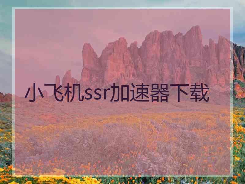 小飞机ssr加速器下载