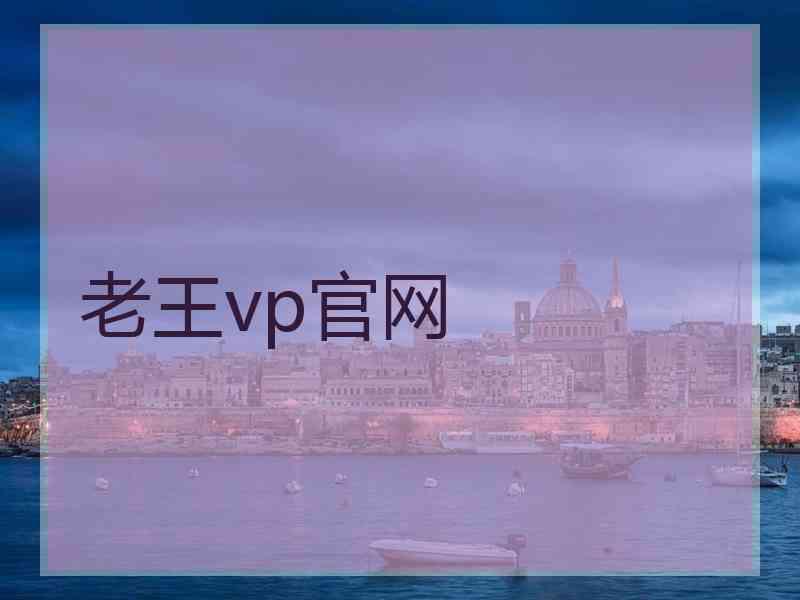 老王vp官网