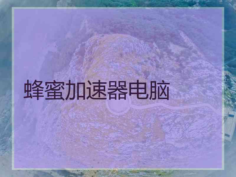 蜂蜜加速器电脑