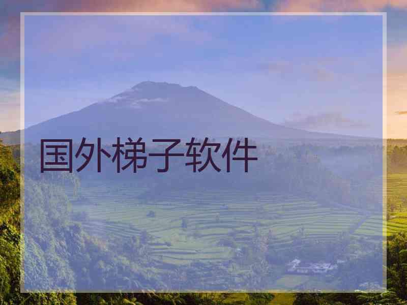 国外梯子软件