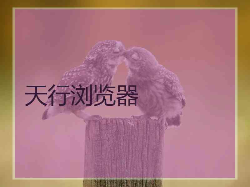 天行浏览器