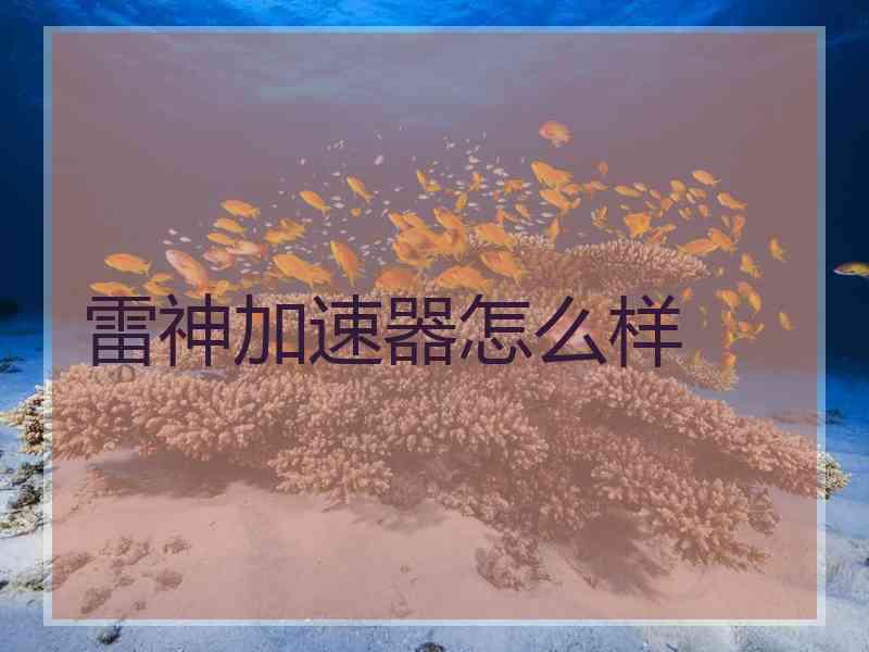 雷神加速器怎么样